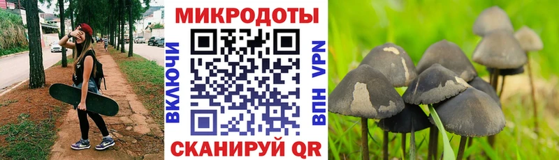 Галлюциногенные грибы мицелий Купить где Кропоткин